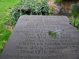 image of grave number 141363